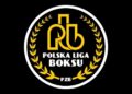 Polska Liga Boksu: początek drugiego sezonu 18 marca