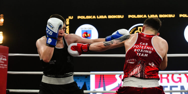 POLSKA LIGA BOKSU: CKB Potężnie Ciechocinek vs Królewski Kraków